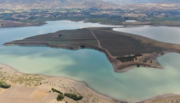 Denize kıyısı olmayan Sivas'ta ada sahibi oldu