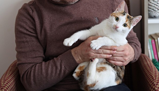 Sigaranın evcil hayvanlara zararı araştırıldı