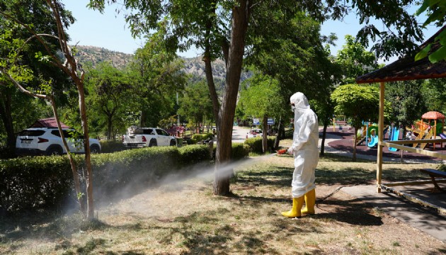 İBB’den sahada kenelerle aktif mücadele