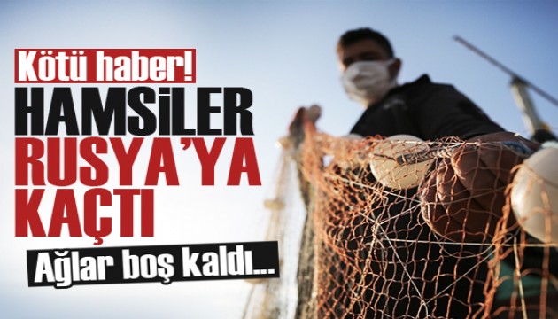 Kötü haber! Hamsiler Rusya'ya kaçtı