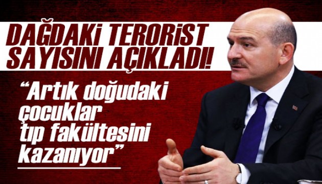 Bakan Soylu, dağda kalan terörist sayısını açıkladı!