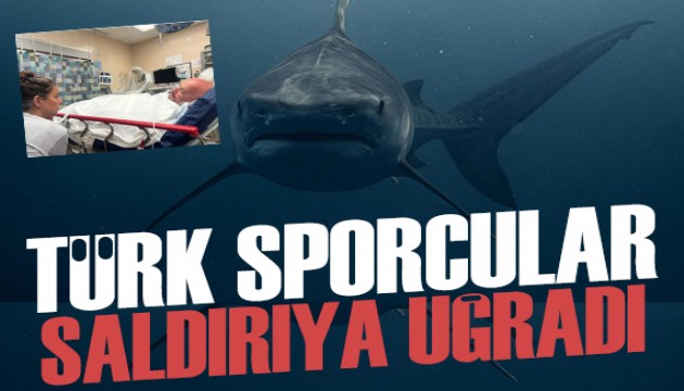 Türk yüzücüler köpek balığı saldırısına uğradı