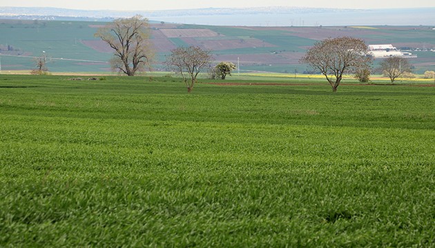 Kar yağışıyla kuraklık stresi bitti