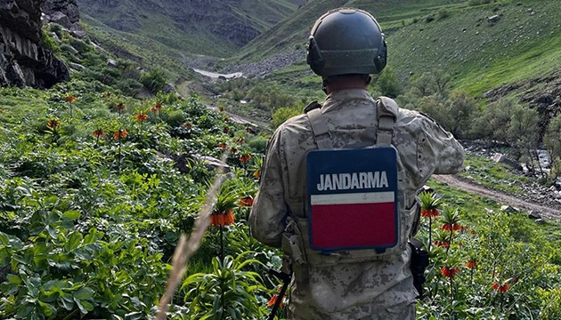 Laleler jandarma koruması altında