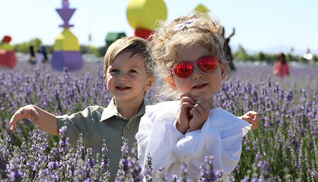 Lavanta Festivali'nden renkli görüntüler
