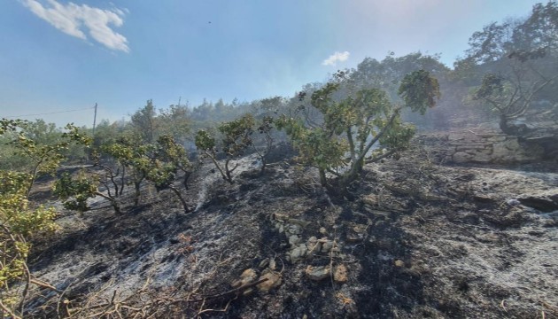 Manisa'da çıkan yangında 3 hektar tarım arazisi zarar gördü