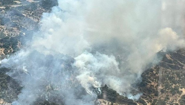 Manisa'da orman yangını