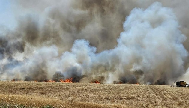 Buğday ekili alan yandı