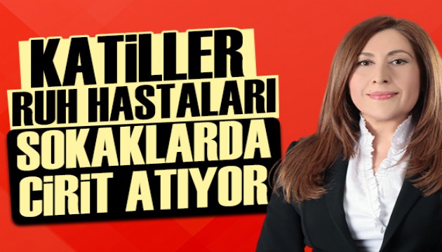 Meryem Aybike Sinan yazdı: Ruh hastaları sokaklarımızda cirit atıyor