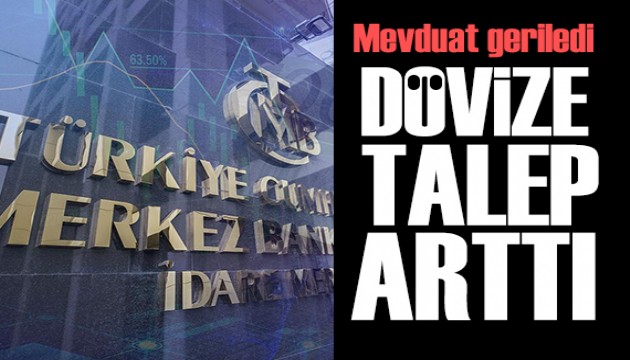 Toplam mevduat geriledi: Dövize talep devam etti