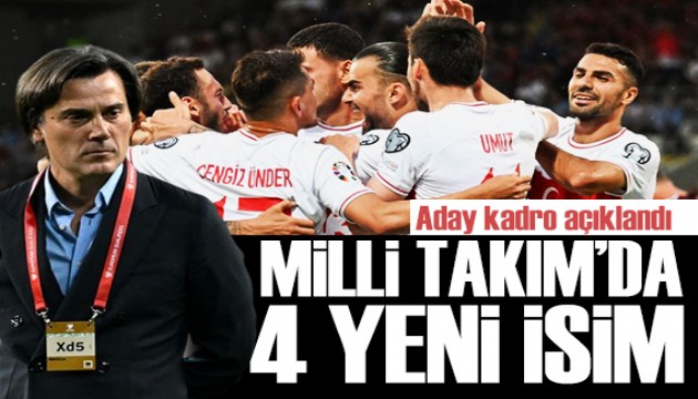 A Milli Takım'ın aday kadrosu açıklandı