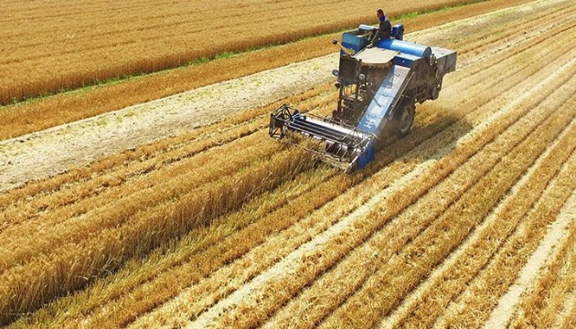 Bakanlık, 'buğday ithalatı' iddiasına yanıt verdi
