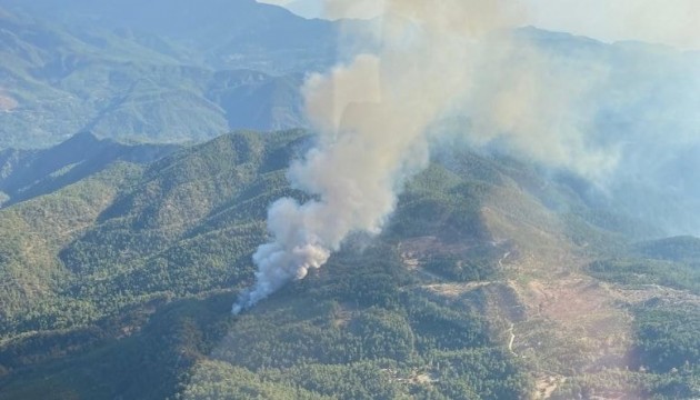 Müdahale sürüyor: Muğla'da yangın!