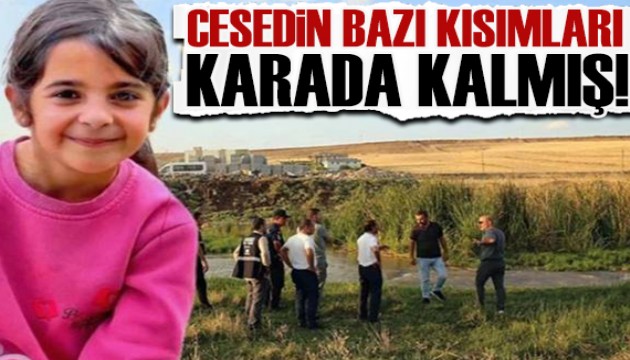 Narin cinayetinde gelişme: Cesedin bazı kısımları karada kalmış...