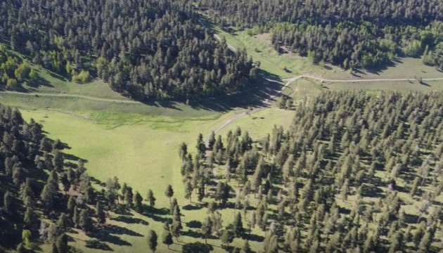 Erzurum'da ormanlık alanlara girişler yasaklandı