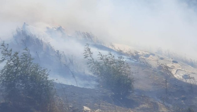 Balıkesir'de kırsal alanlarda çıkan yangınlara müdahale ediliyor