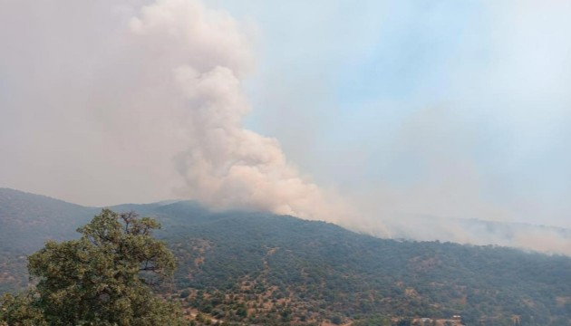 Manisa'da orman yangını