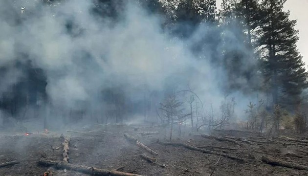 Kastamonu'da orman yangını