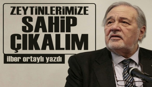 İlber Ortaylı yazdı: Zeytinlerimize sahip çıkalım