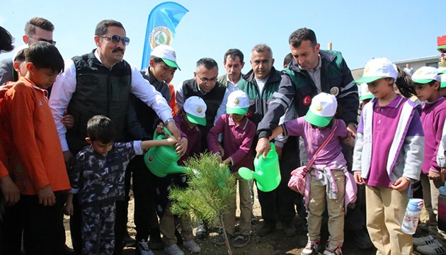 Hatay'da fıstık çamları toprakla buluşturuldu