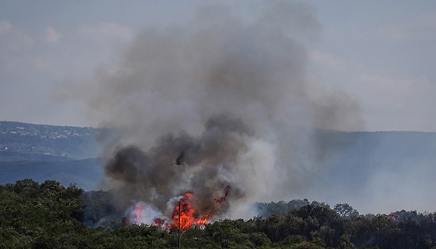 Bursa'da orman yangını!