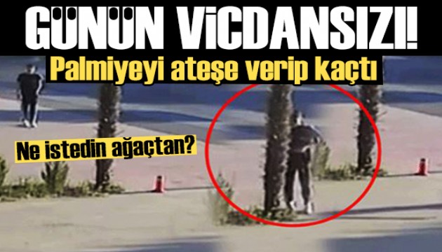 Yoldaki ağacı yakıp kaçtı!