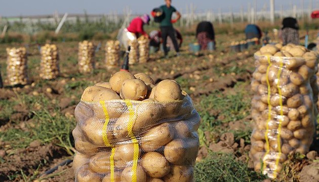 Bakanlıktan patates fiyatı açıklaması
