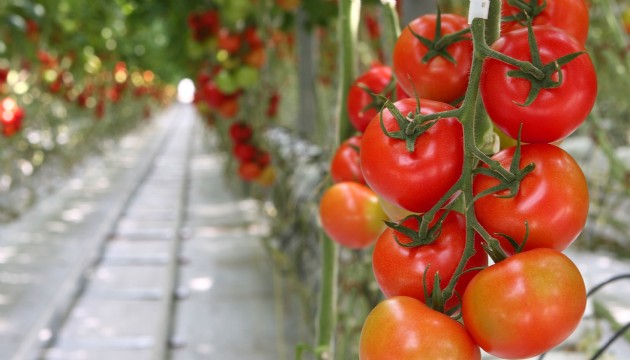 Seradan markete yüzde 175 fiyat artışı