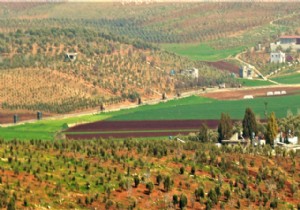 Reyhanlı'ya roketli saldırı