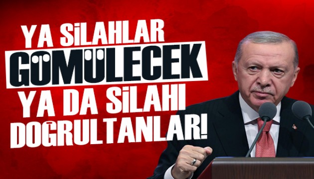 Cumhurbaşkanı Erdoğan: Ya o silahlar gömülecek ya da silah doğrultanlar!