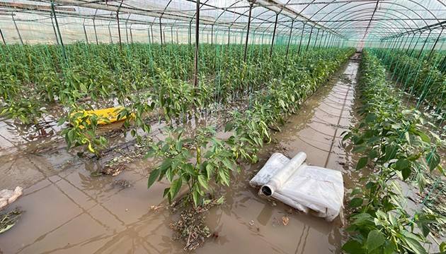 Antalya'da evleri ve seraları su bastı