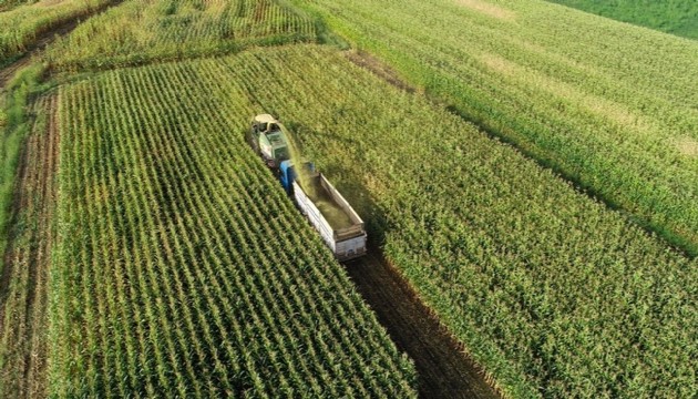 Çiftçilere destekleme ödemesi bugün yapılıyor