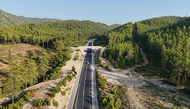 Ekolojik köprü hayat koruyor