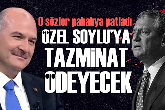 Sahtekar Sülü paylaşımına ceza: Özel, Soylu'ya tazminat ödeyecek