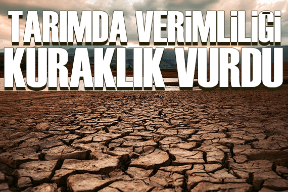 Naki Bakır yazdı: Tarımda verimliliği kuraklık vurdu
