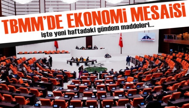 TBMM'de ekonomi mesaisi! İşte gündemdeki maddeler...