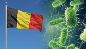 Belçika’da Salmonella salgını