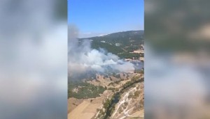 Balıkesir'de orman yangını