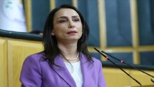 Hatimoğulları: 