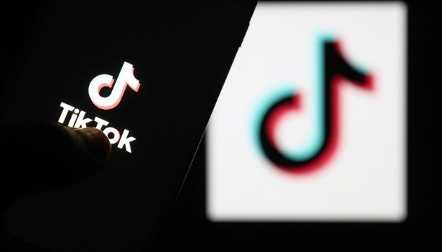 TikTok'a yeni özellik: Denetim artırıldı