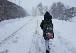 Van'da eğitime kar engeli