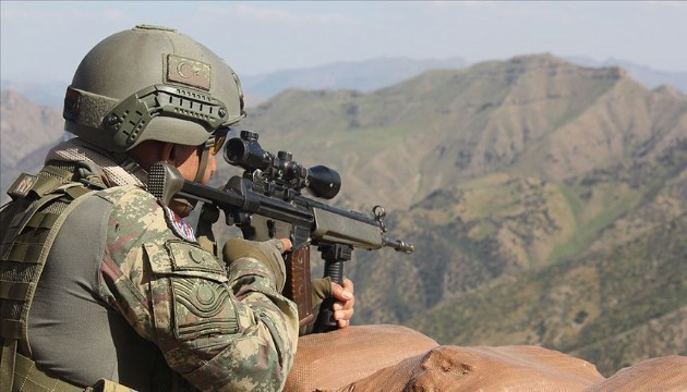 Şırnak'taki operasyonda 3 PKK'lı etkisiz!