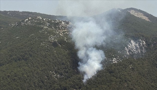 Bodrum'da orman yangını!