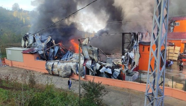 Trabzon'da balık fabrikasında yangın!