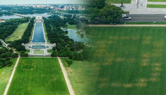 Ulusal parkta gizemli sayılar: Hükümet alarma geçti, sırrı çözüldü