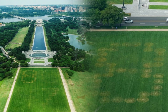 Ulusal parkta gizemli sayılar: Hükümet alarma geçti, sırrı çözüldü