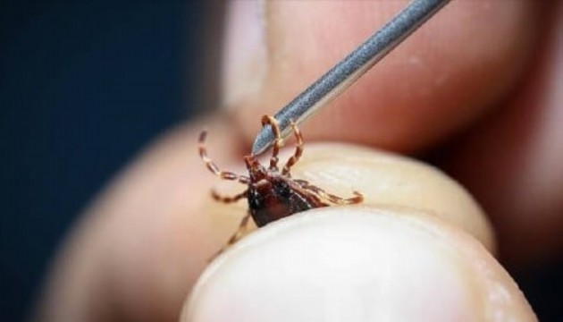 Kene vakalarında ölü sayısı 6'ya yükseldi