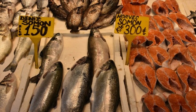 Somon ve alabalık bolluğu