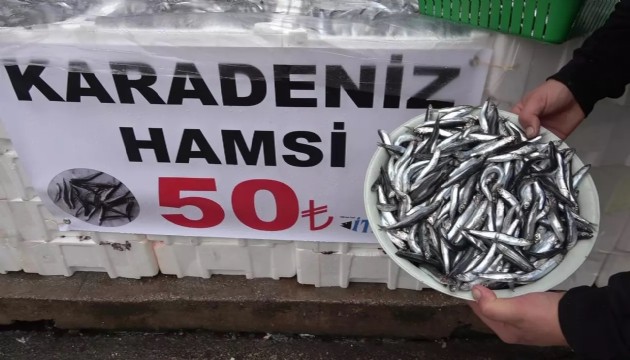 Hamsinin kilosu 50 TL'ye düştü