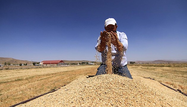 Hatay'da depremzede çiftçilere pamuk ve soya tohumu desteği